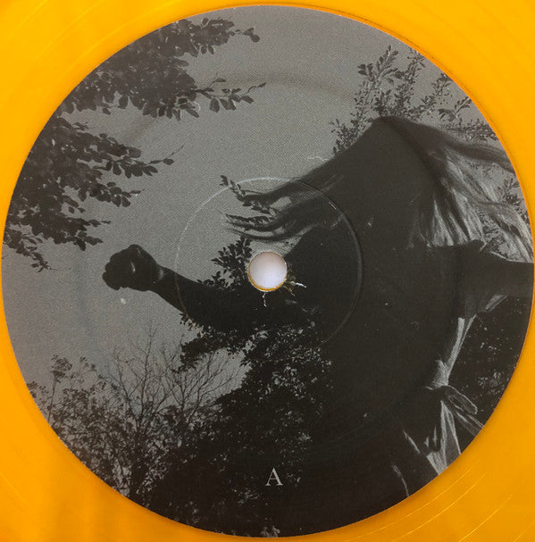 Brian Fallon (2) : Local Honey (LP,Album)