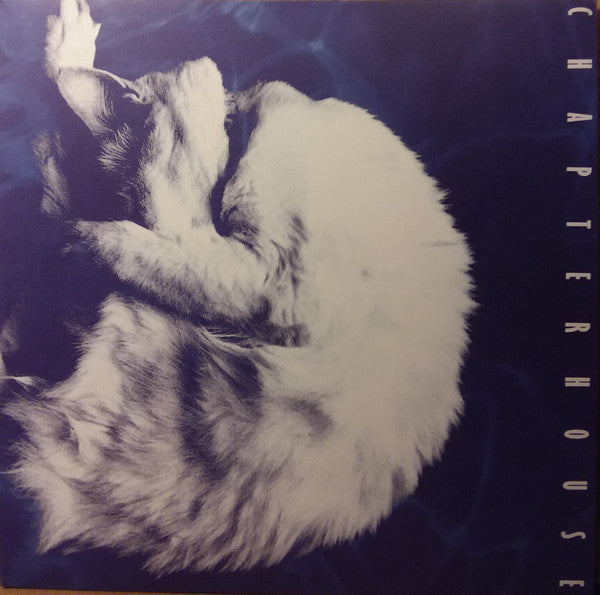 Chapterhouse : Whirlpool (LP,Album,Reissue)