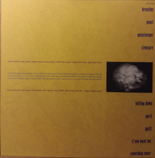 Chapterhouse : Whirlpool (LP,Album,Reissue)