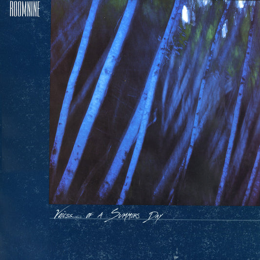 Room Nine : Voices...... Of A Summers Day (LP,Album)