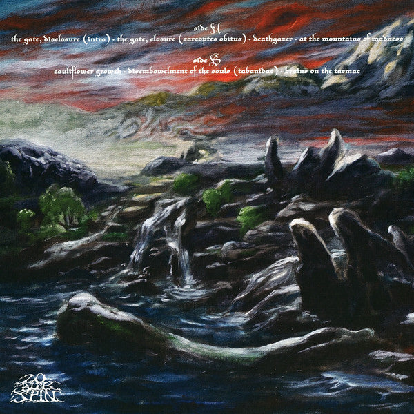 Bedsore : Hypnagogic Hallucinations (LP,Album)