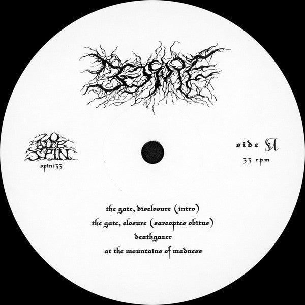 Bedsore : Hypnagogic Hallucinations (LP,Album)