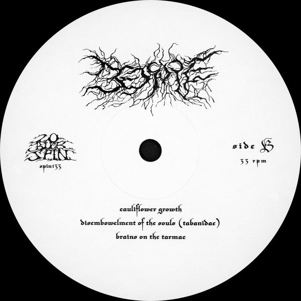 Bedsore : Hypnagogic Hallucinations (LP,Album)