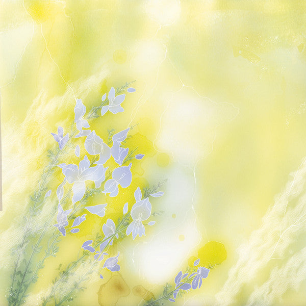 Prg/M : Lenta Ginestra (12",EP)