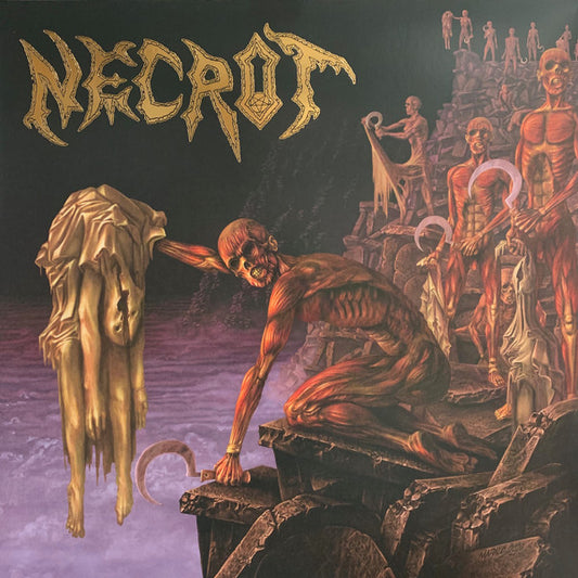 Necrot : Mortal (LP,Album,Limited Edition)