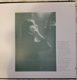 Dan Fogelberg : Home Free (LP,Album)