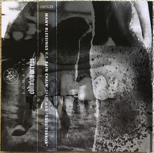 Many Blessings V.S. Pain Chain : Split AKA "Soul Terror" (Limited Edition)