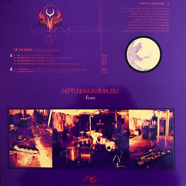 Neptunian Maximalism : Éons (LP)