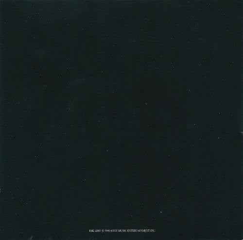 Rage Against The Machine : Guerrilla Radio (Single,Promo)
