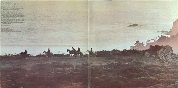 Doobie Brothers, The : Stampede (LP,Album)
