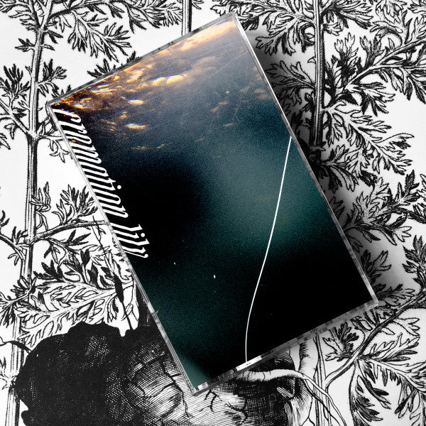 Cremation Lily : That Light Lasted Our Entire Lives, Nothing Simple And Everything Alive (Album,Limited Edition)