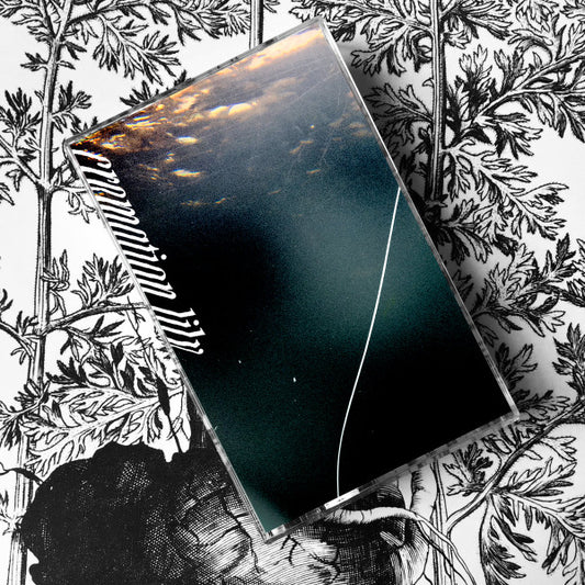 Cremation Lily : That Light Lasted Our Entire Lives, Nothing Simple And Everything Alive (Album,Limited Edition)