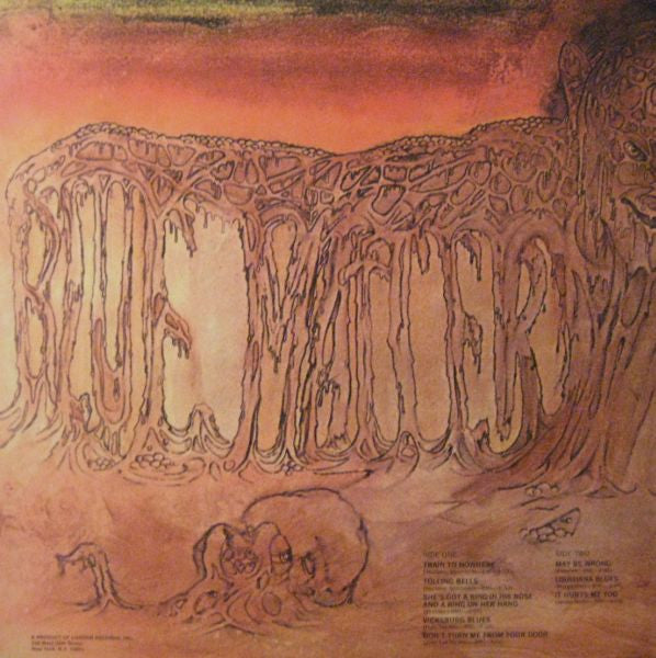 Savoy Brown : Blue Matter (LP,Album)