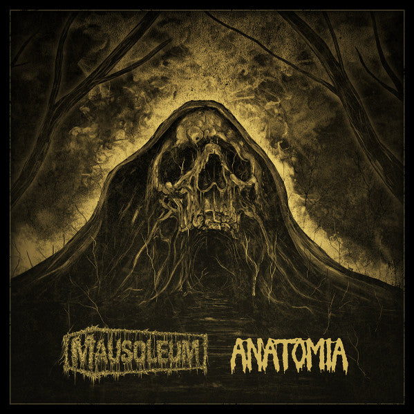 Mausoleum (4) / Anatomia : .:Nyctophilia:. / Anatomia (12",33 ⅓ RPM,Limited Edition,Stereo)