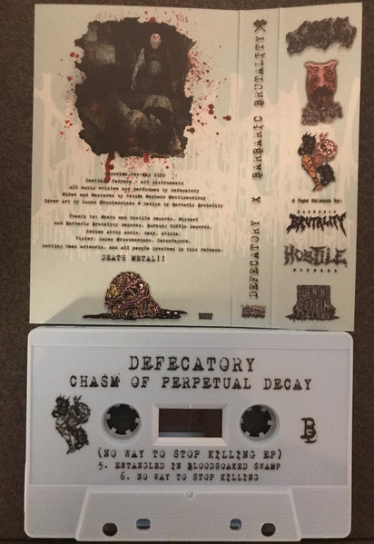 Defecatory : Chasm Of Perpetual Decay (Compilation,Stereo)