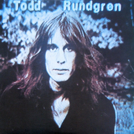 Todd Rundgren : Hermit Of Mink Hollow (LP,Album)