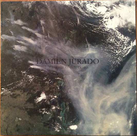 Damien Jurado : Caught In The Trees (LP,Album)