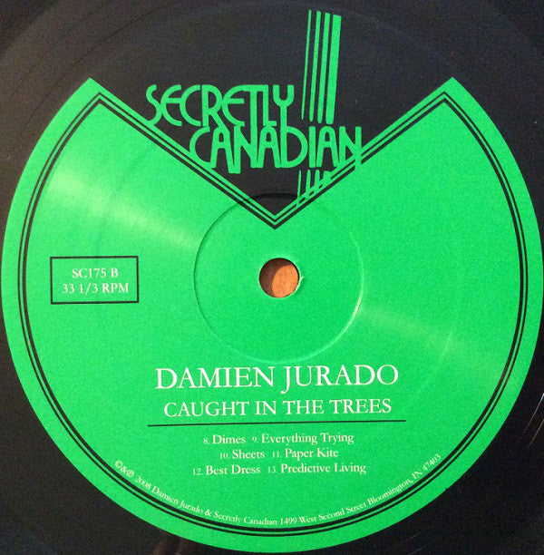 Damien Jurado : Caught In The Trees (LP,Album)