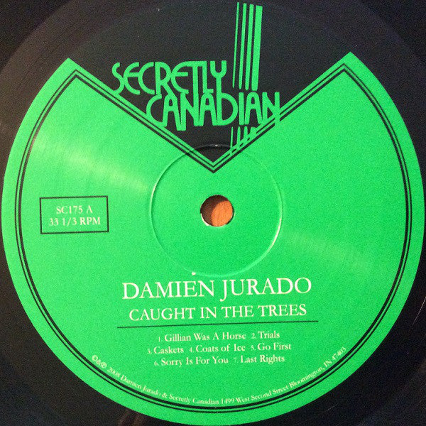 Damien Jurado : Caught In The Trees (LP,Album)