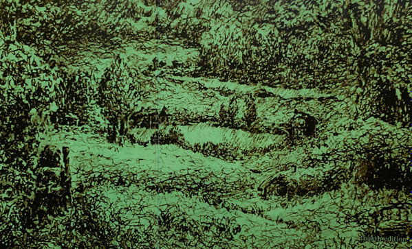 Hole Dweller : Flies The Coop (Album,Limited Edition,Reissue)