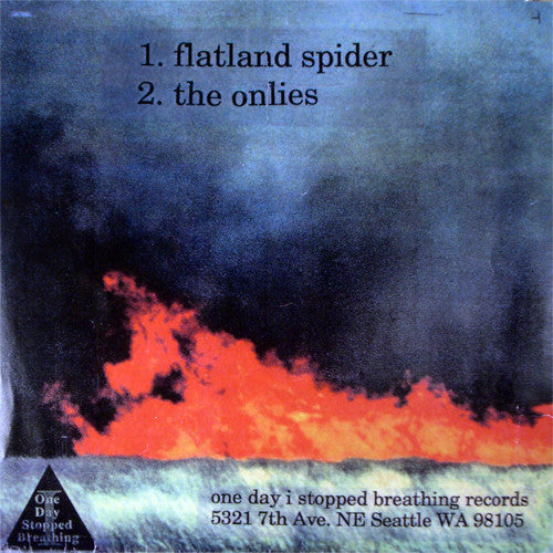 Sunny Day Real Estate : Flatland Spider (7",33 ⅓ RPM,Single)
