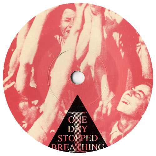 Sunny Day Real Estate : Flatland Spider (7",33 ⅓ RPM,Single)