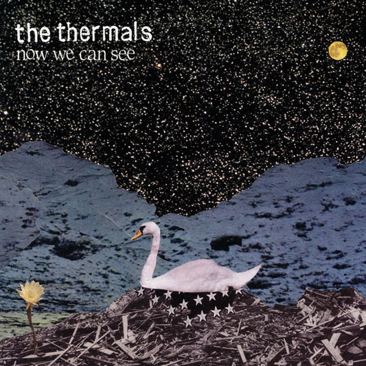 Thermals, The : Now We Can See (LP,Album)