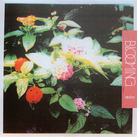 Amulets : Blooming (LP,Album,Limited Edition)