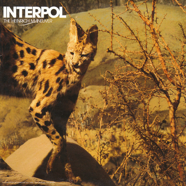 Interpol : The Heinrich Maneuver (7",Promo,45 RPM)