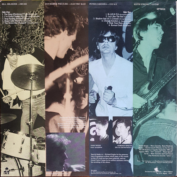 Fleshtones, The : Roman Gods (LP,Album)