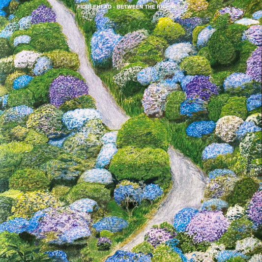 Fiddlehead (2) : Between The Richness (LP,45 RPM,Album)