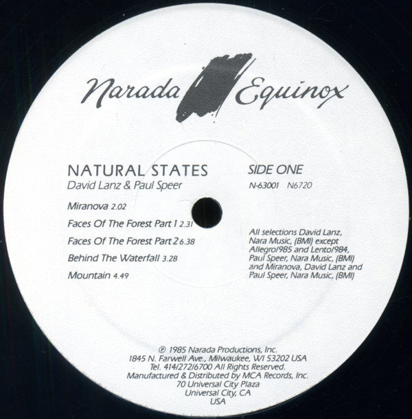 David Lanz & Paul Speer : Natural States (LP,Album)