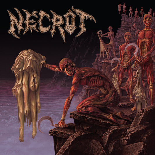 Necrot : Mortal (LP,Album,Picture Disc)