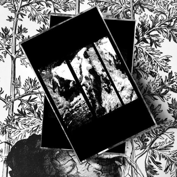 Life In The Dark : Crushing Waves Of Gloom ()