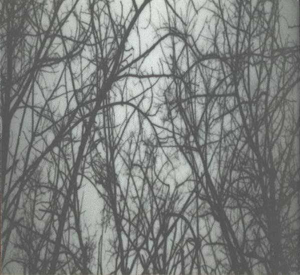 A Silver Mt. Zion : This Is Our Punk-Rock, Thee Rusted Satellites Gather+Sing, (Album)