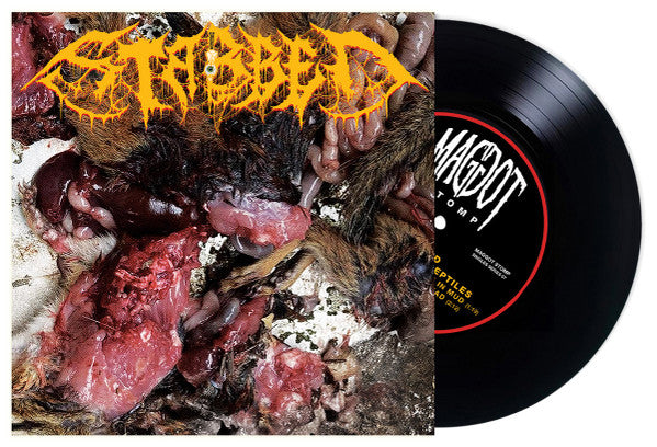 Stabbed (3) : Defleshed By Reptiles (7")