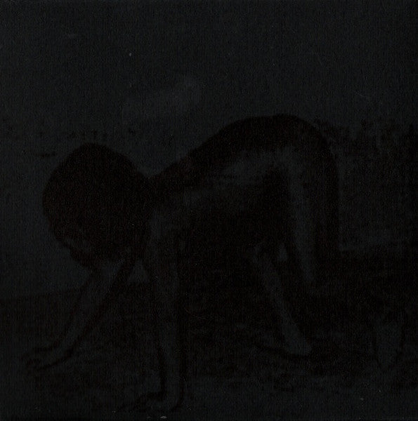 Fauna (7) : Rain (Album,Reissue)