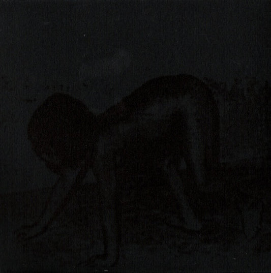 Fauna (7) : Rain (Album,Reissue)