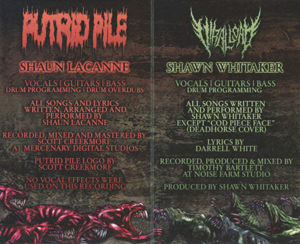 Viral Load / Putrid Pile : Viral Load / Putrid Pile (Limited Edition,Reissue)