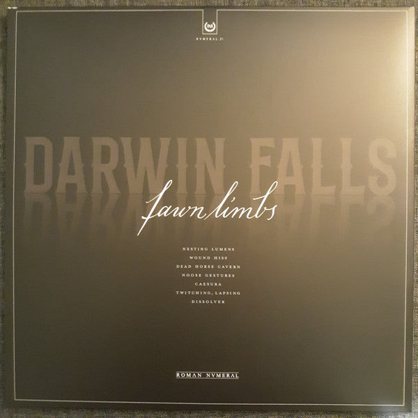 Fawn Limbs : Darwin Falls (LP,Limited Edition)