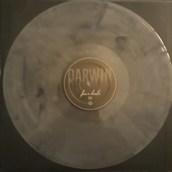 Fawn Limbs : Darwin Falls (LP,Limited Edition)