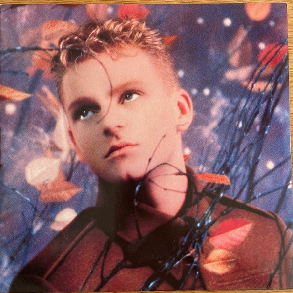 Erasure : Wild! (LP,Album)