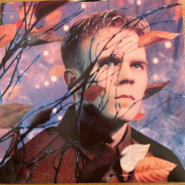 Erasure : Wild! (LP,Album)