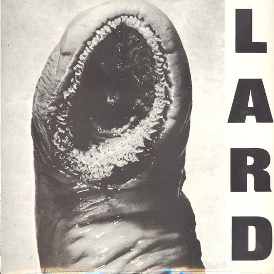 Lard : Power Of Lard EP (12",EP,33 ⅓ RPM)