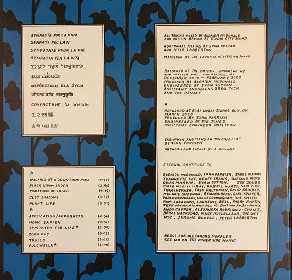 Parquet Courts : Sympathy For Life (LP,Album,Special Edition,Stereo)