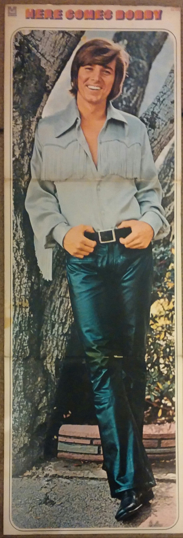 Bobby Sherman : Here Comes Bobby (LP)