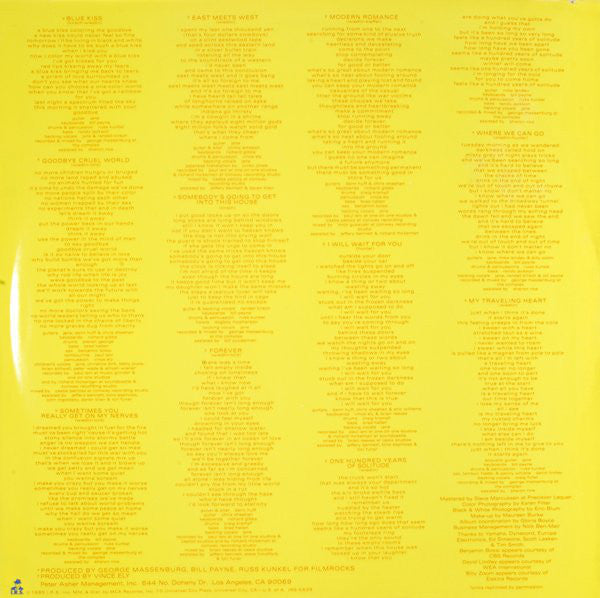 Jane Wiedlin : Jane Wiedlin (LP,Album)