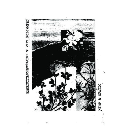 Cremation Lily & Knifedoutofexistence : Mist & Static ()