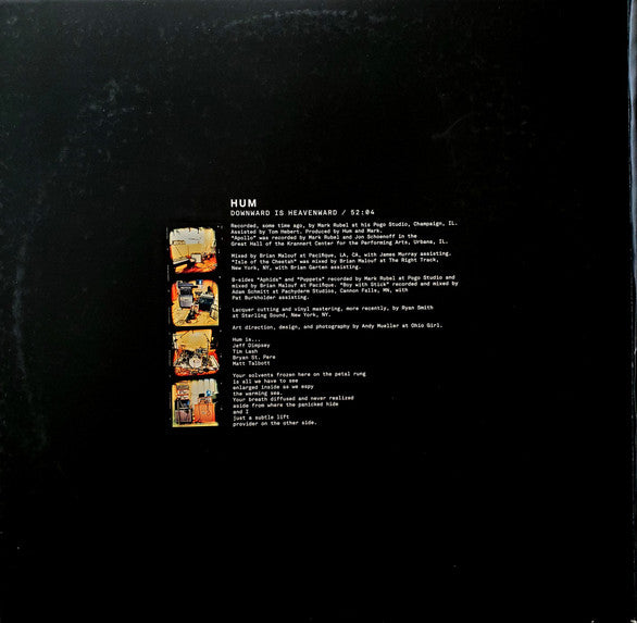Hum (2) : Downward Is Heavenward (LP,Album,Reissue)