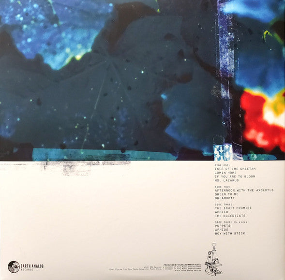 Hum (2) : Downward Is Heavenward (LP,Album,Reissue)